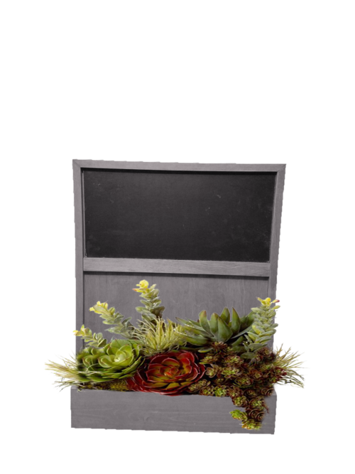 Grown by you WM19CB-BW Wall Mounted Chalkboard Key Rack with Planting 