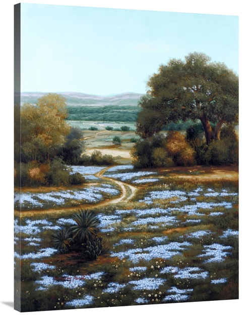 Global Gallery GCS-339645-3040-142 30 x 40 in. Valley of the Bluebells