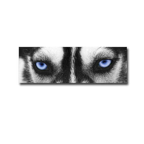 Artistic Home Gallery 1236K5673G Husky by PhotoINC Studio Premium Gall