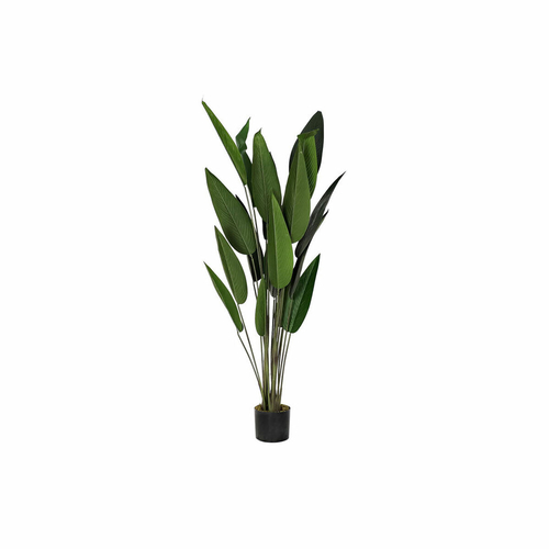 Decorative Plant DKD Home Decor 50 x 50 x 160 cm Polyethylene Green