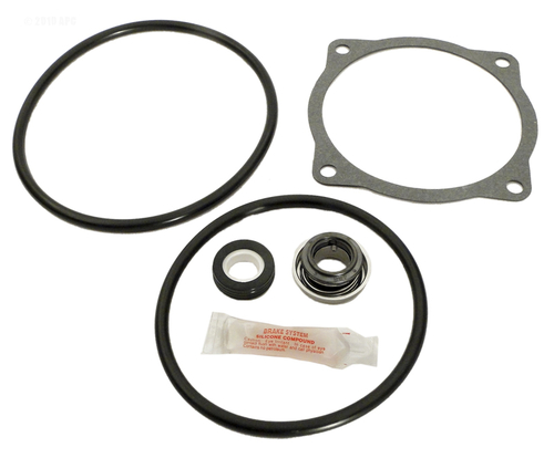 Alakit APCK1020 Sta-Rite CF & CF6 Repair Kit