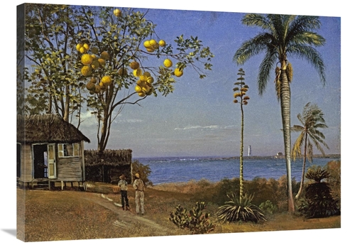 Global Gallery GCS-267733-36-142 36 in. Tropical Scene Art Print - Alb