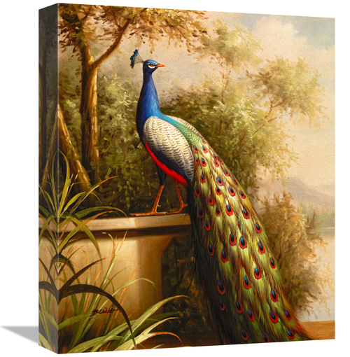 Global Gallery GCS-132589-16-142 16 in. Regal Peacock Art Print - Blum