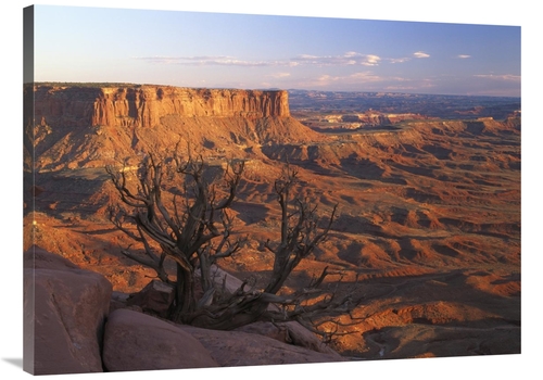 Global Gallery GCS-396625-3040-142 30 x 40 in. View From Green River O