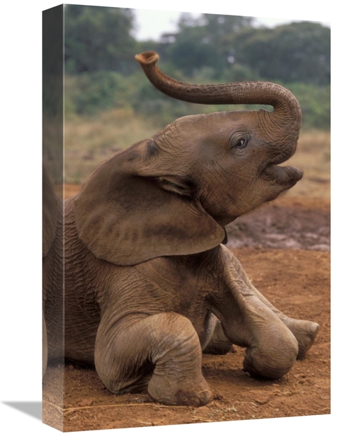 Global Gallery GCS-452967-1218-142 12 x 18 in. Orphan Baby Mwega Playi