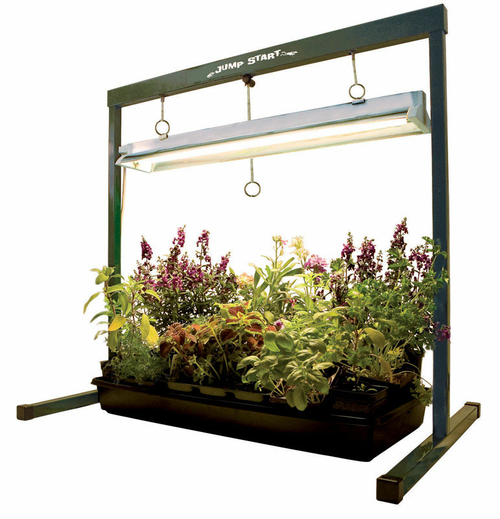 Hydrofarm store grow light