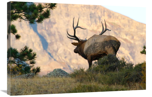 Global Gallery GCS-486475-36-142 36 in. Towards the Sunset Art Print -