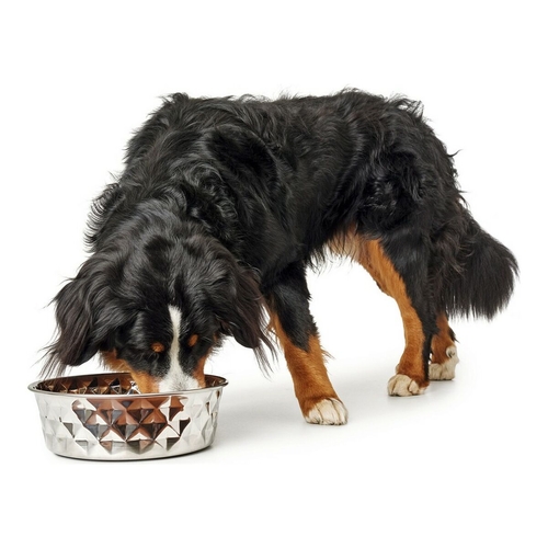 Dog Feeder Hunter Stainless steel Elegant (180 ml)