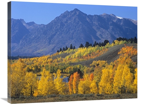Global Gallery GCS-396894-2432-142 24 x 32 in. Ranger Peak & Aspen For