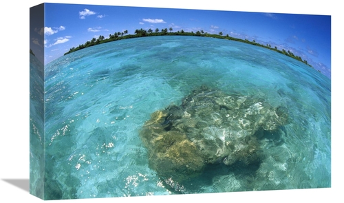 Global Gallery GCS-451672-1218-142 12 x 18 in. Reef Seascape, Palm