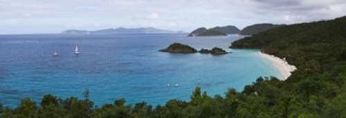 Panoramic Images PPI147494L Trees on the coast  Trunk Bay  Virgin Isla