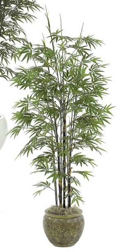 Autograph Foliages P-3762 - 7 Foot Japanese Bamboo Tree - Black Stem