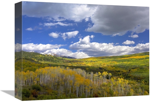 Global Gallery GCS-396154-1216-142 12 x 16 in. Gunnison National Fores