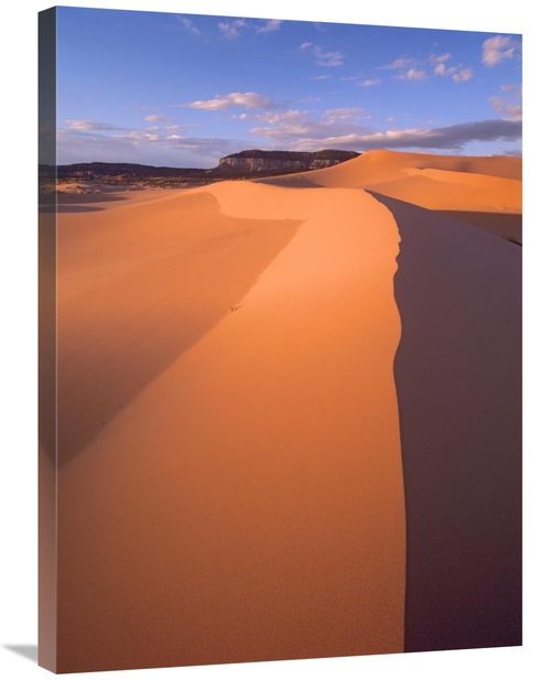 Global Gallery GCS-452155-2432-142 24 x 32 in. Wind Ripples in Sand Du