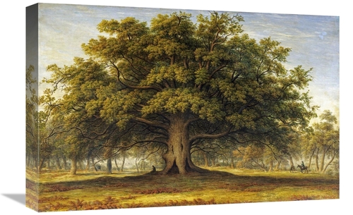 Global Gallery GCS-266397-22-142 22 in. The Beggars Oak Art Print - Jo