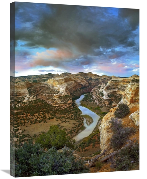 Global Gallery GCS-396471-2432-142 24 x 32 in. Winding Yampa River,