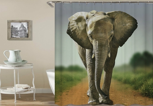 Elephant On The Road Shower Curtain