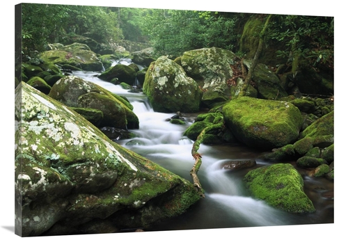 Global Gallery GCS-396693-3040-142 30 x 40 in. Roaring Fork River,