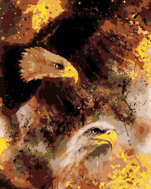 Paint by Numbers - TWO EAGLES IN OUTER SPACE