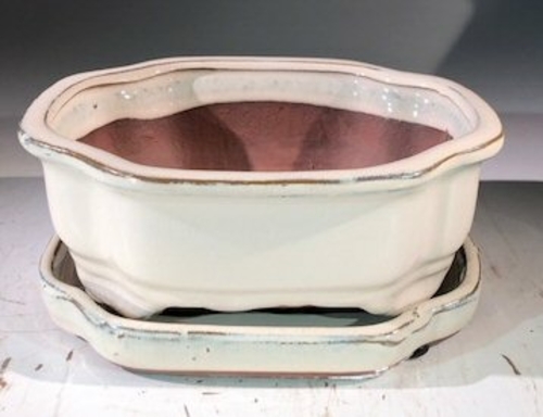 Beige Ceramic Bonsai Pot -RectangleWith Humidity Drip Tray7" x 5.5" x