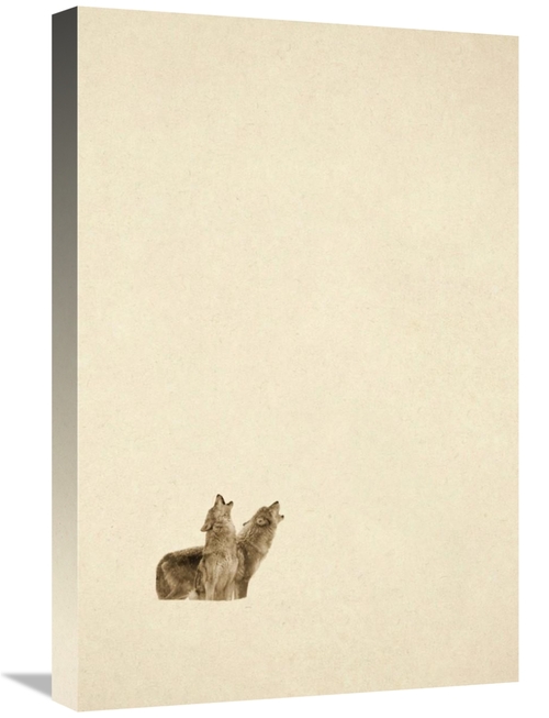 Global Gallery GCS-450501-1624-142 16 x 24 in. Timber Wolf Pair Howlin