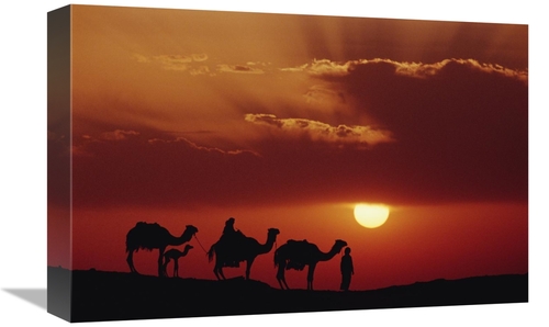 Global Gallery GCS-452939-1218-142 12 x 18 in. Dromedary Camels & Bedo