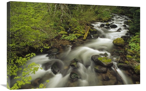 Global Gallery GCS-452874-2436-142 24 x 36 in. Still Creek in Spring&#