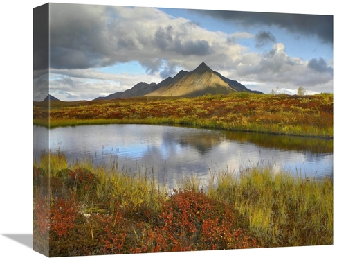 Global Gallery GCS-396769-16-142 16 in. Pond & Ogilvie Mountains, 