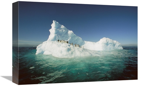 Global Gallery GCS-397792-1218-142 12 x 18 in. Adelie Penguin Group Ri