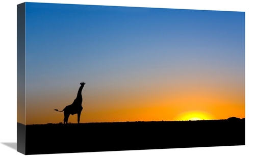 Global Gallery GCS-397433-1624-142 16 x 24 in. Giraffe Silhouetted Aga