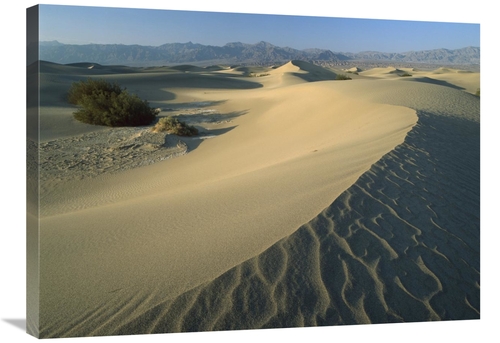 Global Gallery GCS-396651-2432-142 24 x 32 in. Mesquite Flat Sand Dune