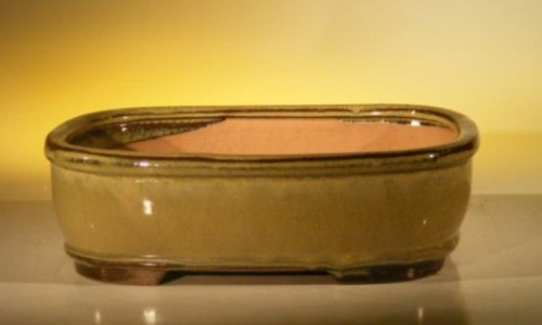 Olive Green Ceramic Bonsai Pot - Rectangle10" x 8" x 3.125"