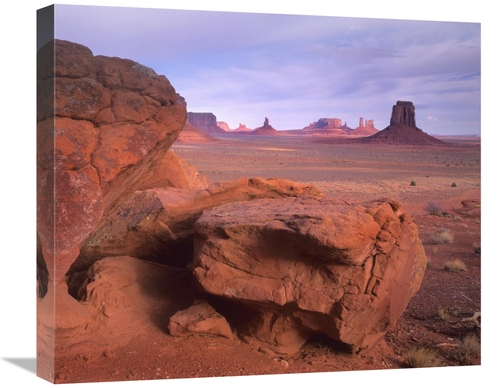 Global Gallery GCS-396242-22-142 22 in. Mittens, North Window,