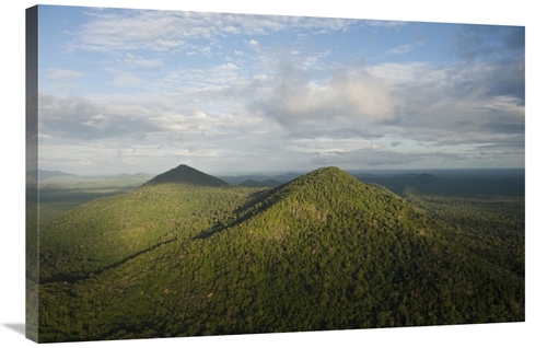 Global Gallery GCS-397930-2436-142 24 x 36 in. Rainforest & Kanuku Mou