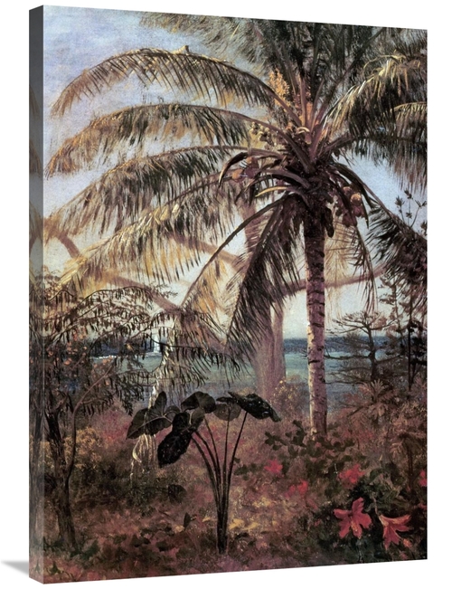Global Gallery GCS-267724-36-142 36 in. Palm Tree, Nassau Art Prin