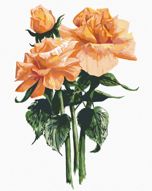 Paint by Numbers - ORANGE ROSE (ALEXANDRIA GILBERT)