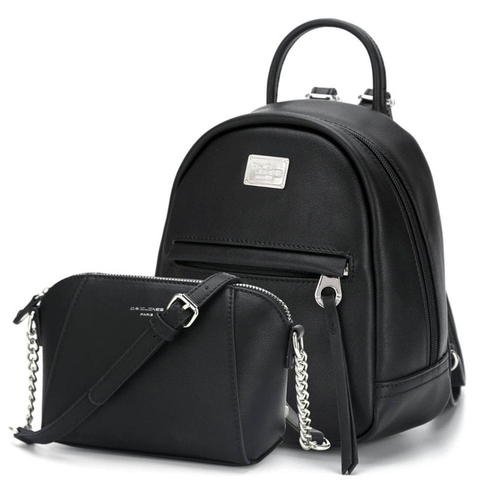 2 piece Women Composite bag Mini