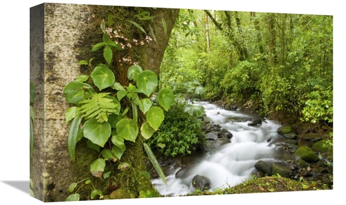 Global Gallery GCS-397324-1218-142 12 x 18 in. Creek Flowing Through R