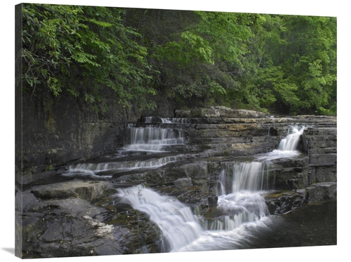 Global Gallery GCS-396294-3040-142 30 x 40 in. Dismal Falls, Jeffe