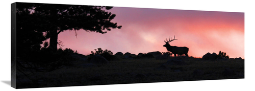 Global Gallery GCS-486608-40-142 40 in. Red Sky at Night Art Print - V