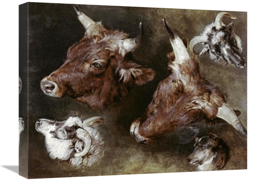 Global Gallery GCS-278167-22-142 22 in. Heads of Sheep & Cattle Art Pr