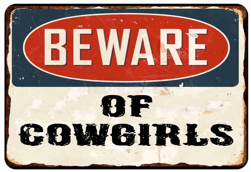 Beware of Cowgirls Warning Caution 8 x 12 inch Metal Tin Sign