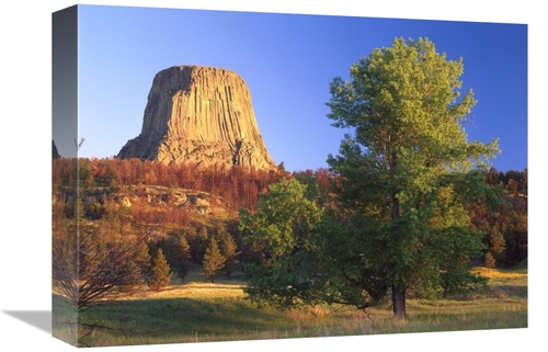 Global Gallery GCS-397162-1216-142 12 x 16 in. Devils Tower National M