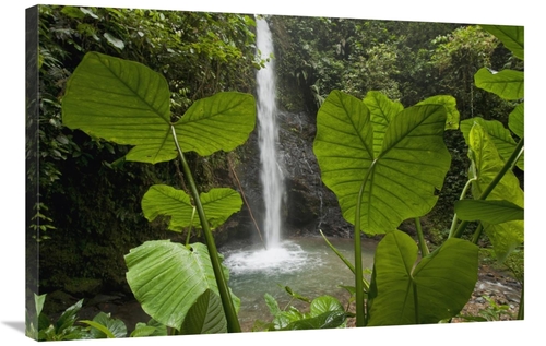 Global Gallery GCS-395563-2436-142 24 x 36 in. Waterfall in Lowland Tr