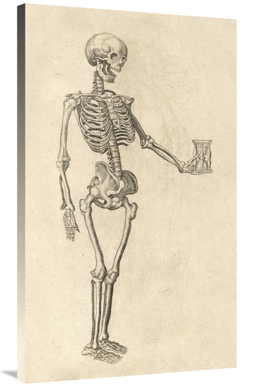 Global Gallery GCS-454961-40-142 40 in. Human Skeleton with Hourglass 