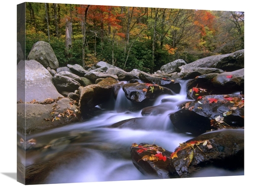 Global Gallery GCS-397203-2024-142 20 x 24 in. Little Pigeon River Cas