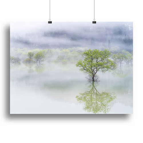 Dreamy Tree Canvas Print or Poster