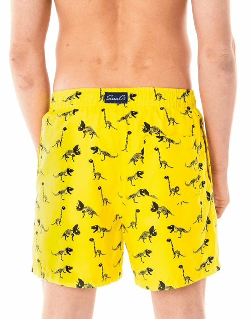 Dinosaur Swim Shorts