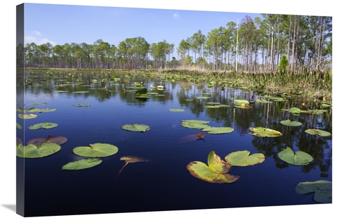Global Gallery GCS-397596-2436-142 24 x 36 in. Lake with Lily Pads,