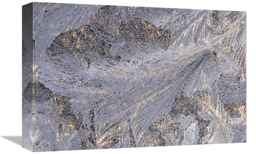 Global Gallery GCS-395751-1218-142 12 x 18 in. Frost Crystal Formation